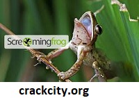 Screaming Frog 17.1 Crack